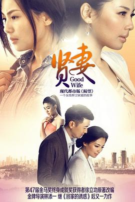 贤妻2013 Good Wife
