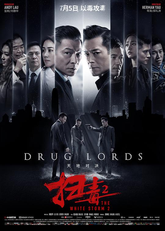 扫毒2天地对决 扫毒2：天地对决 / The White Storm 2: Drug Lords