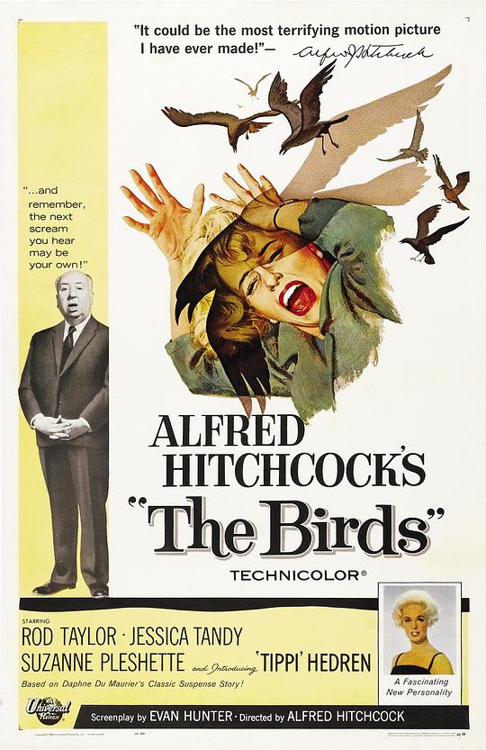群鸟 鸟 / Alfred Hitchcock's The Birds