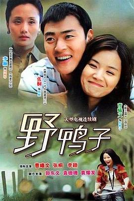 野鸭子 女儿之谜/女儿的战争/野鸭子第一部