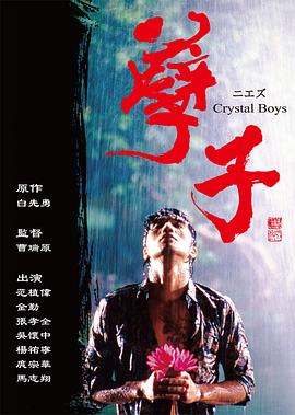 孽子 Crystal Boys