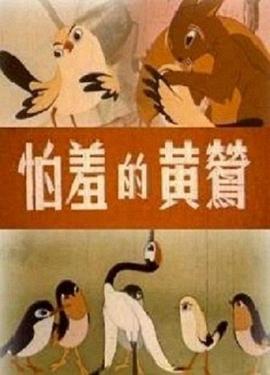 怕羞的黄莺 怕羞的小黄莺