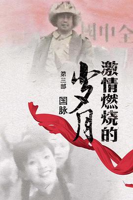 激情燃烧的岁月3 激情燃烧的岁月III 国脉