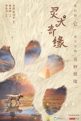 灵犬奇缘 Lucky,灵犬奇缘