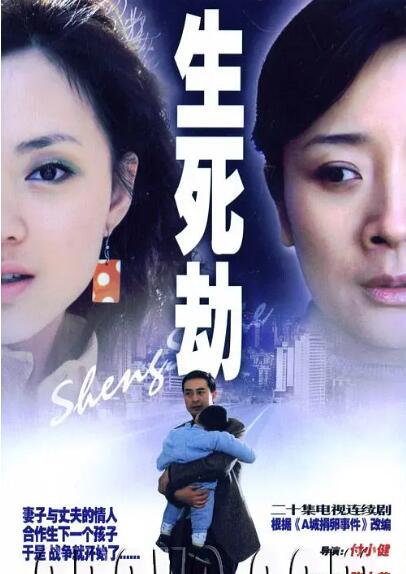 生死劫 Stolen Life / 绝对隐私系列