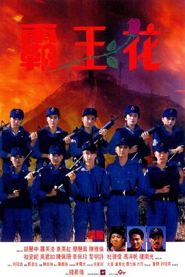 霸王花 (粤语) 霸王花与霸王花 Lady Enforcers The Inspector Wears Skirts