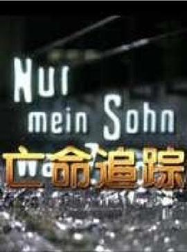 亡命追踪 （国语）