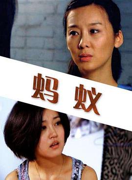 蚂蚁 Where Do Ants Sleep at Night？,蚂蚁