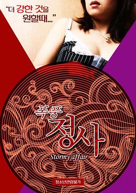暴风情事 绯闻风暴 / Stormy Affair