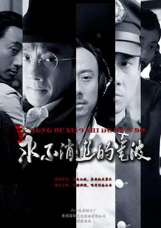 永不消逝的电波 永不消逝的电波2010,永不消逝的电波