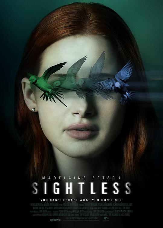 迷盲 Sightless