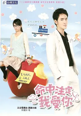 命中注定我爱你 便利贴女孩/爱上琉璃苣女孩/Fated to Love You
