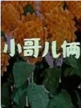 小哥儿俩 小哥俩