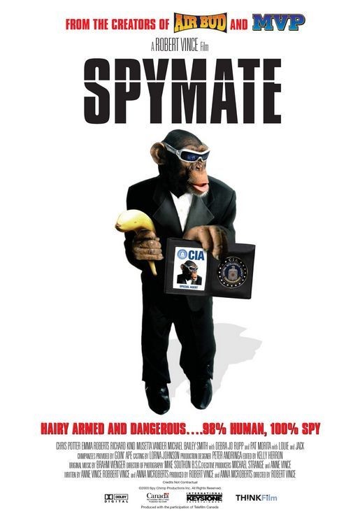 金刚归来 Spymate