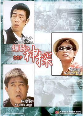 爆裂神探 神探两个半,神探二又二分之一
