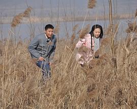 天鹅城之恋 天鹅城之恋2011,天鹅城之恋
