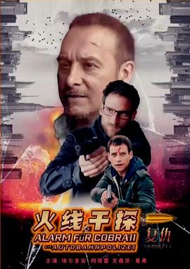 火线干探之复仇 （国语）