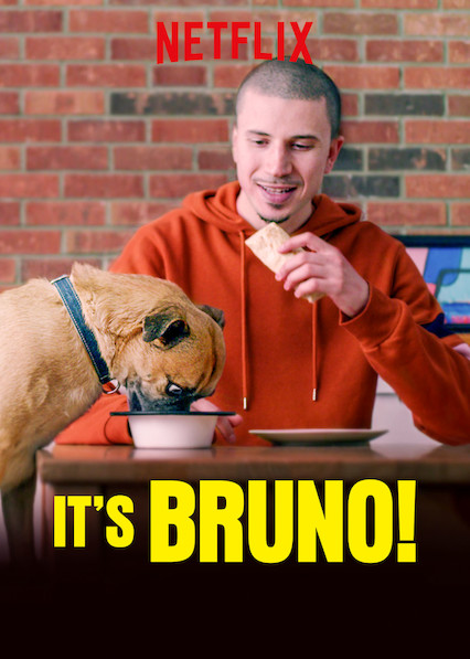 布鲁诺驾到！ It&amp;#39;s Bruno!