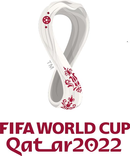 世界杯 荷兰VS卡塔尔