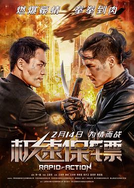 极速保镖 疾速保镖,终极对决,极速保镖