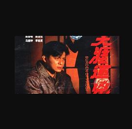 天涯追凶 （国语）版