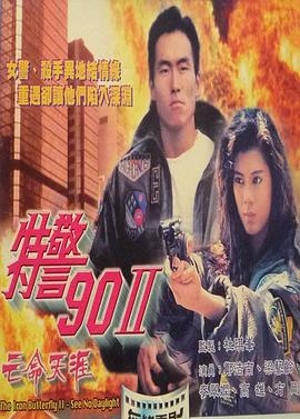 特警90 II 之亡命天涯 （国语）版