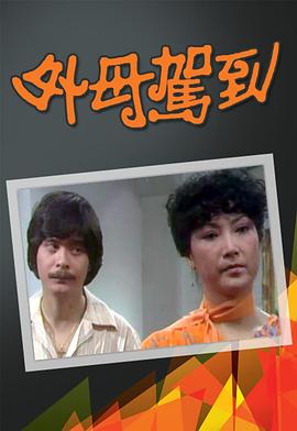 外母驾到 （粤语）