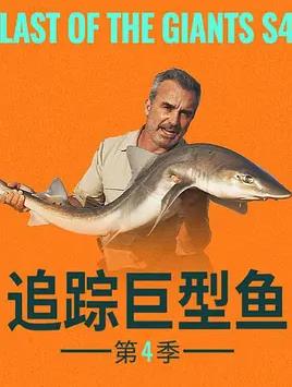追踪巨型鱼 第四季