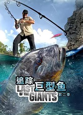 追踪巨型鱼 第二季