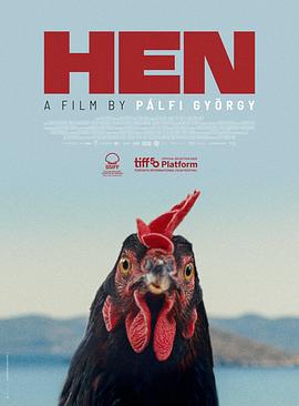 母鸡 Hen