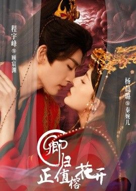 卿归正值榕花开
