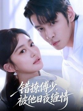 错撩傅少，被他日夜缠情