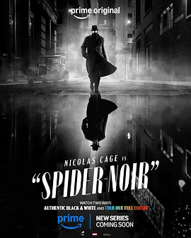 暗影蜘蛛侠 Spider-Noir