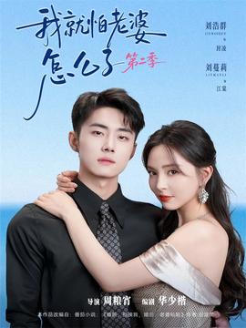 我就怕老婆怎么了 第二季