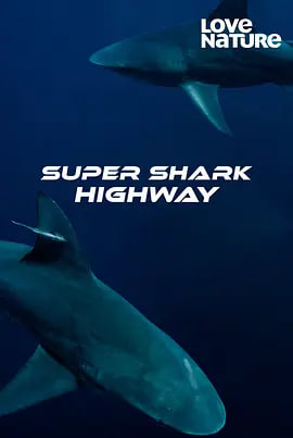 超级鲨鱼高速公路 第一季