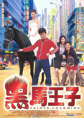 黑马王子[电影解说]