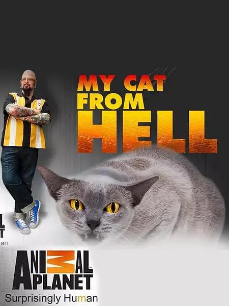 家有恶猫 第七季 管教恶猫 第七季