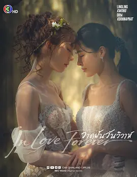 绘梦婚礼 In Love Forever,In Love Forever The Series