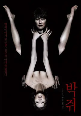 蝙蝠 2009