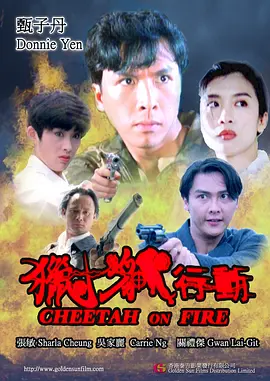 猎豹行动1992[电影解说]