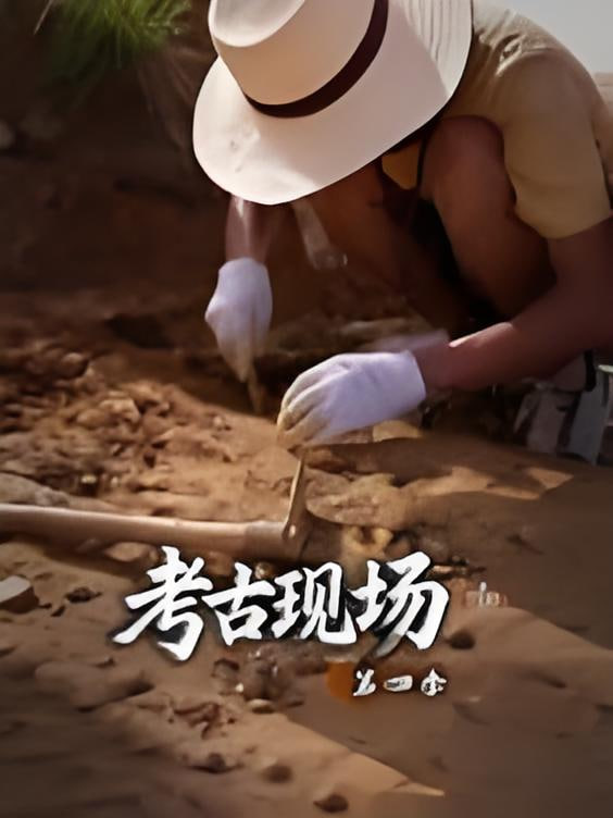 全世界中国味