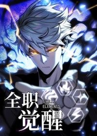 全职觉醒