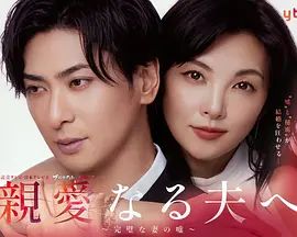 致亲爱的丈夫 完美妻子的谎言 亲爱的丈夫~完美妻子的谎言~