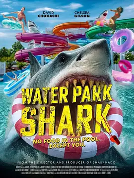 Water Park Shark