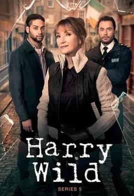 野探哈莉 第五季 Harry Wild Season 5