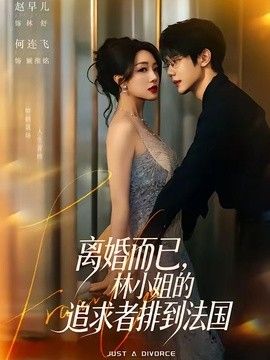 离婚而已,林小姐的追求者排到法国