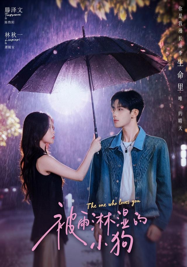 被雨淋湿的小狗