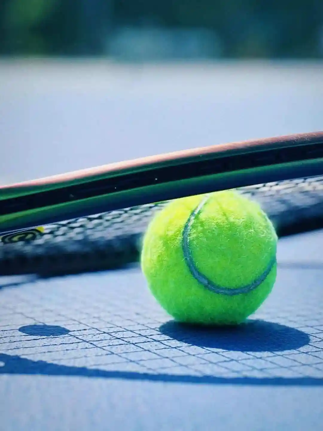 WTA250汉堡站女单半决赛：谢里芙VS科尔帕奇