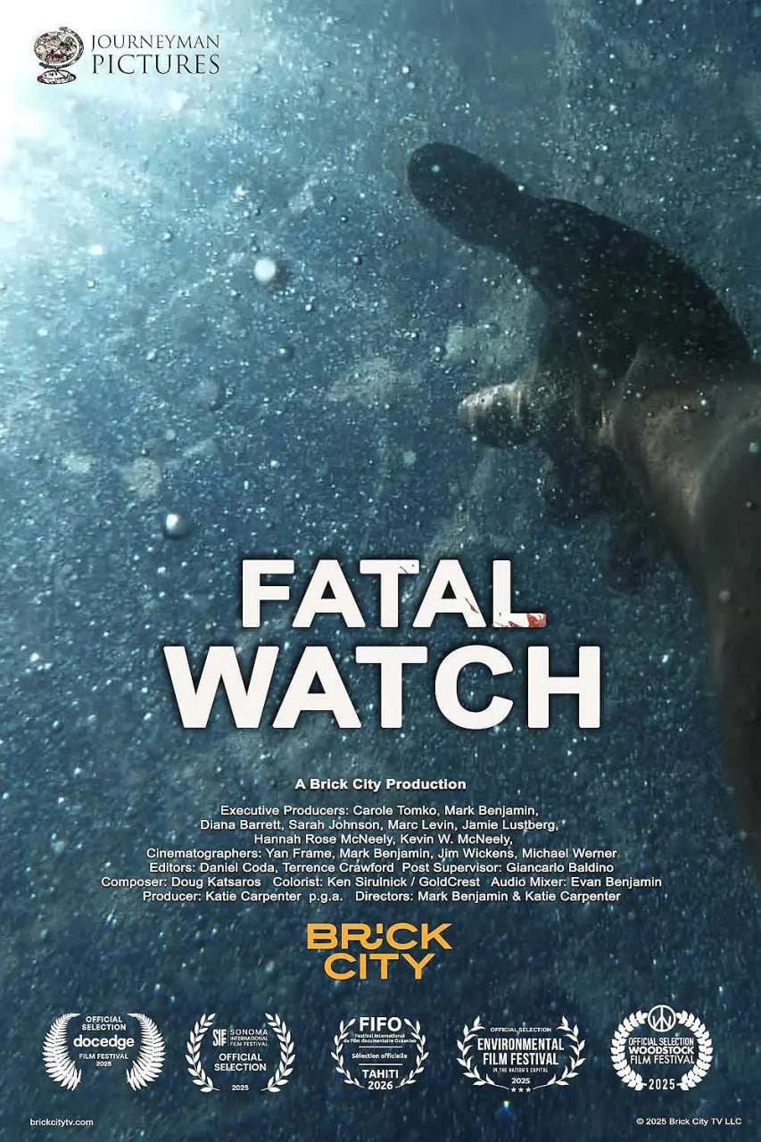 致命守望 Fatal Watch