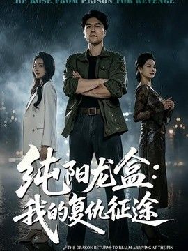 纯阳龙盒:我的复仇征途